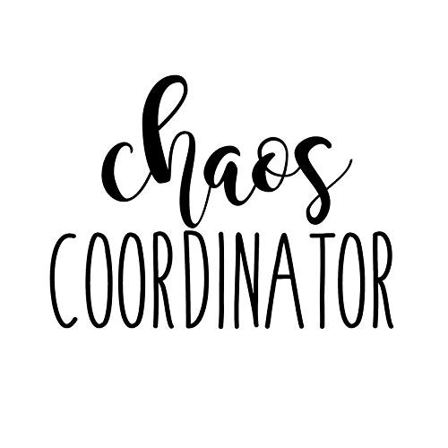 Chaos Coordinator Funny NOK Decal Vinyl Sticker |Cars Trucks Vans Walls Laptop|Black|5.5 x 4.0 in|NOK473 Chaos Coordinator Funny NOK Decal Vinyl Sticker |Cars Trucks Vans Walls Laptop|Black|5.5 x 4.0 in|NOK473