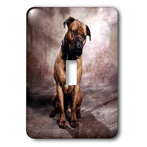 3dRose lsp_974_1 Bullmastiff Single Toggle Switch