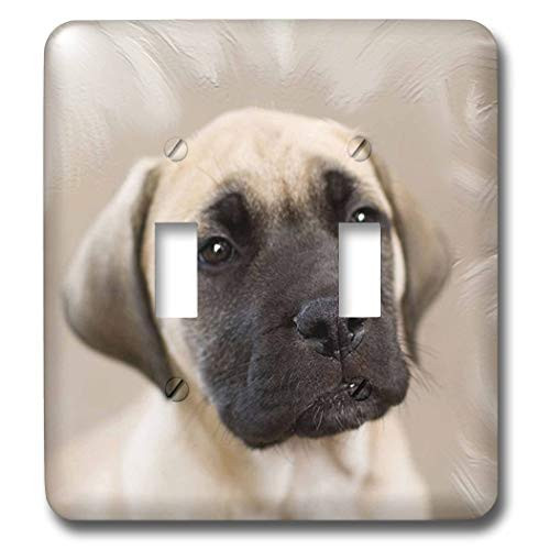 3dRose lsp_4451_2 Bullmastiff Puppy Double Toggle Switch