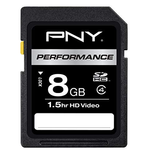 PNY 8GB Performance Class 4 SDHC Flash Memory Card 2-Pack (P-SDHC8G4X2H-GE)
