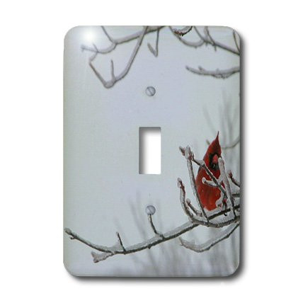 3dRose lsp_29651_1 Carninal on Icey Branch Toggle Switch, Multi-Color