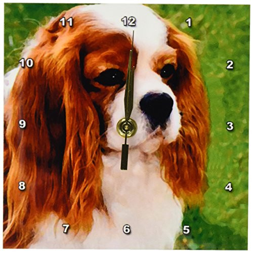 3dRose LLC Cavalier King Charles Spaniels Desk Clock, 6 by 6-Inch