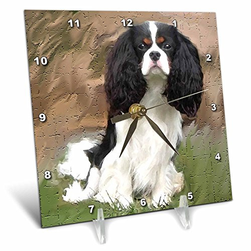 3dRose LLC Cavalier Spaniel Desk Clock, 6 by 6-Inch