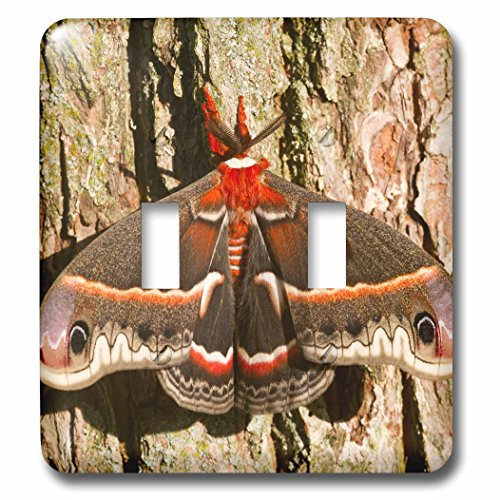 3dRose lsp_205529_2 Cecropia Moth on tree trunk, Marion, Illinois, USA Double Toggle Switch