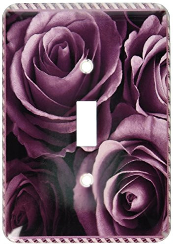 3dRose lsp_29932_1 Close up scene of dreamy muted plum purple roses surrounded by a striped frame Toggle Switch, Multi-Color