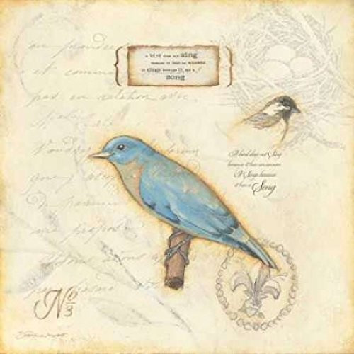 Posterazzi Color Bird III Poster Print by Stephanie Marrott, (24 x 24)