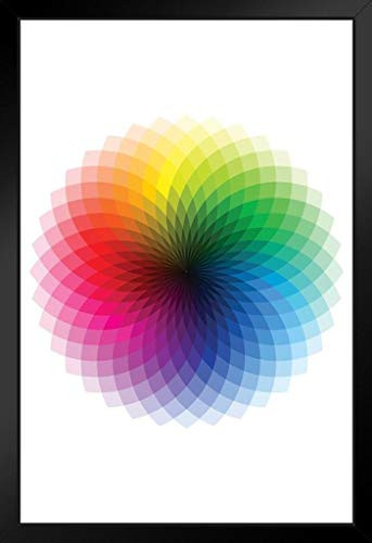 Color Wheel CMYK ROYGBIV Rainbow Spectrum Chart Black Wood Framed Art Poster 14x20
