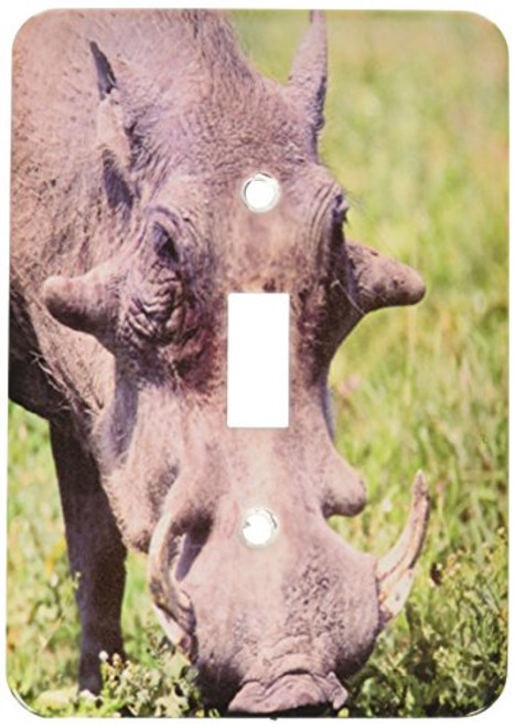 3dRose LLC lsp_83933_1 Common Warthog, Wildlife, Tanzania Africa Na02 Dno0387 David Northcott Single Toggle Switch