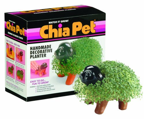 Chia Pet Puppy with Seed Pack, Decorative Pottery Planter, Easy to Do and Fun to Grow, Novelty Gift, Perfect for Any Occasion