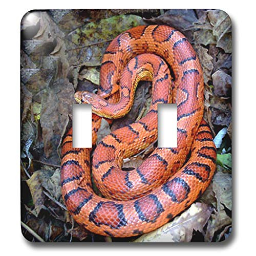 3dRose lsp_1486_2 CORN SNAKE Double Toggle Switch