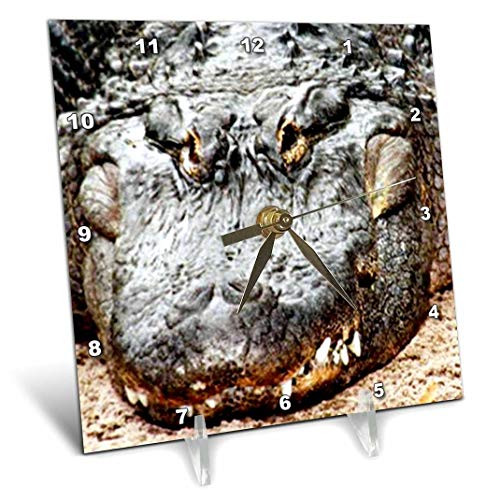 3dRose dc_616_1 Crocodile-Desk Clock, 6 by 6-Inch