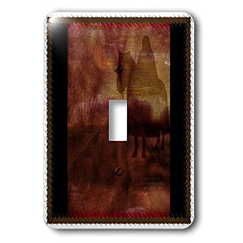 3dRose LLC lsp_21482_1 Dark Knight Sentinel Knight Darkfantasy Dreamland Medieval Dream Nightmare - Single Toggle Switch