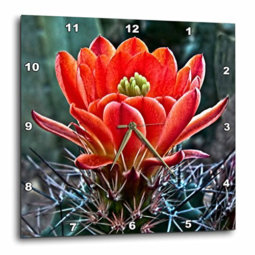 3dRose dpp_32341_1 Decorative Colorful Garden Botanic Classic Plant SW Southwest Desert Cactus Red Flower-Wall Clock, 10 By 10-Inch