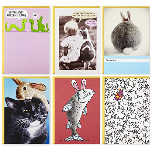 Hallmark Shoebox Funny Easter Cards Assortment (6 Cards with Envelopes)