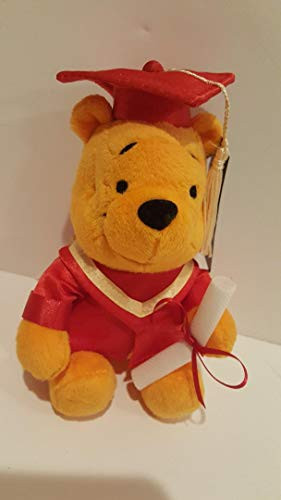 Disney Winnie The Pooh Mini Graduation