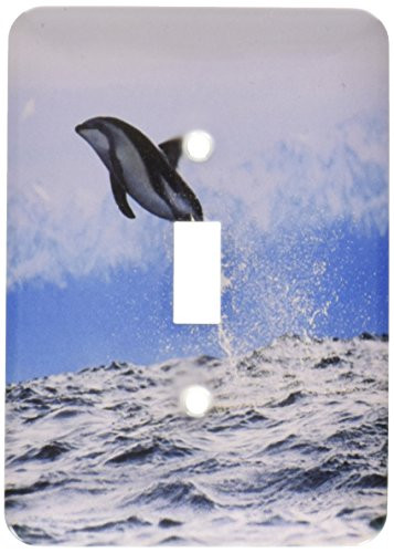 3dRose lsp_61921_1 Dolphin In Flight Single Toggle Switch