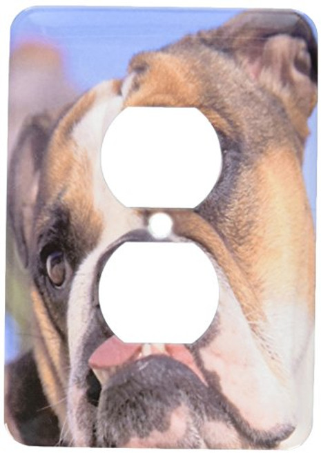 3dRose lsp_84121_6 English Bulldog Na02 Mwe0138 Michele Westmorland 2 Plug Outlet Cover