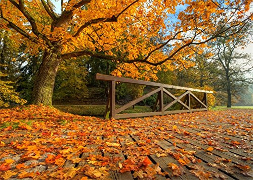 Leowefowa 10X8FT Autumn Backdrop Forest Trees River Golden Trees Rural Fall Backdrops for Photography Green Grass Field Nature Vinyl Photo Background Kids Adults Studio Props Leowefowa 10X8FT Autumn Backdrop Forest Trees River Golden Trees Rural Fall Backdrops for Photography Green Grass Field Nature Vinyl Photo Background Kids Adults Studio Props