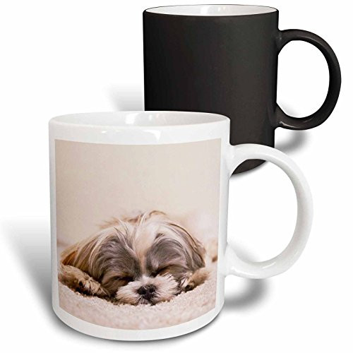 3dRose Shih Tzu Sleeping Best Friend Magic Transforming Mug, 11 oz, Black/White