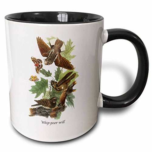 3dRose Whip-poor-will by John James Audubon Two Tone Mug, 11 oz, Black/White