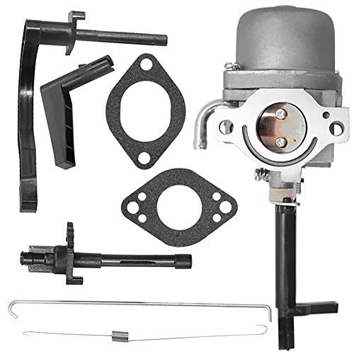 Zreneyfex Carburetor for Coleman Powermate 5000 6250 Watts 5000W 6250W Portable Gas Generator with Briggs & Stratton 10HP Generator