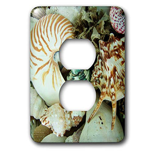 3dRose lsp_18983_6 Florida Sea Shells 2 Plug Outlet Cover