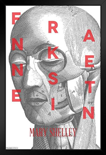 Pyramid America Frankenstein Mary Shelley Anatomical Black Wood Framed Art Poster 14x20