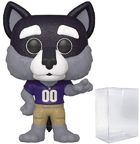Funko Pop College Mascots: University of Washington - Harry The Husky Pop! Vinyl Figure (Includes Compatible Pop Box Protector Case)