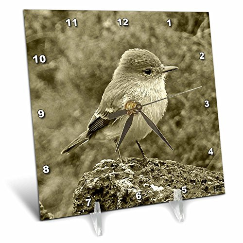 3dRose dc_10160_1 Desk Clock, Galapagos Islands Ecuador, 6 by 6-Inch