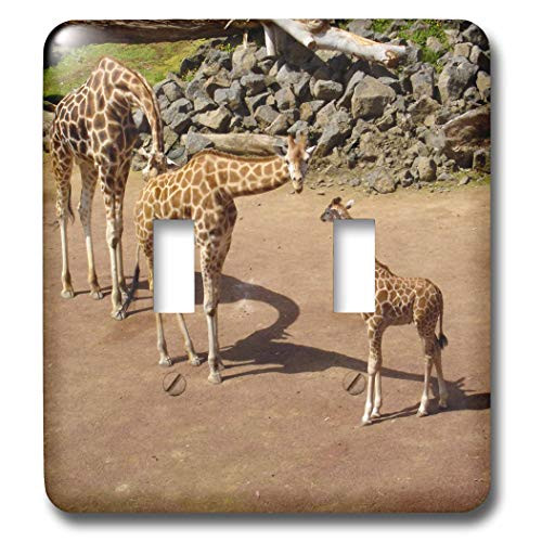 3dRose LLC lsp_22785_2 Family with Baby Giraffe Double Toggle Switch