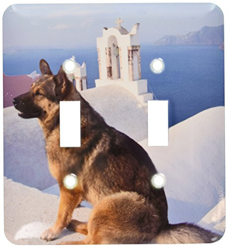 3dRose  lsp_81834_2 Greece, Santorini, Oia, Dog, Blue Domed Churches Eu12 Dgu0356 Darrell Gulin Double Toggle Switch