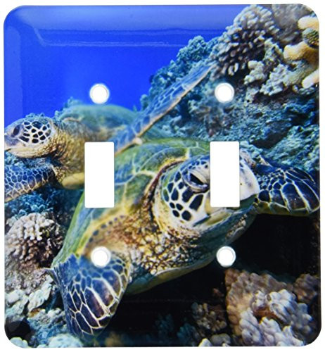 3dRose lsp_46104_2"Green Sea Turtle, Chelonia Mydas, An Endangered Species. Hawaii. Toggle Switch