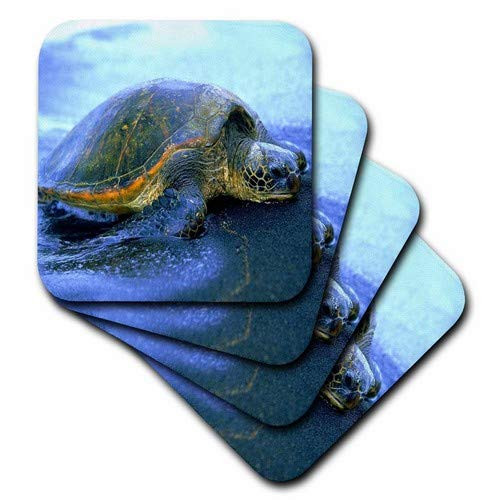 3dRose CST_80273_2 Hawaiian Sea Turtle-Soft Coasters, Set of 8