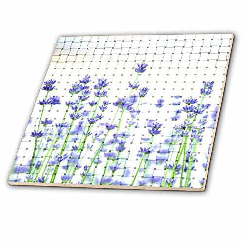 3dRose ct_60918_1 Romantic Weaved Lavender Flowers Floral Art Nature Inspired Gardens Ceramic Tile, 4"