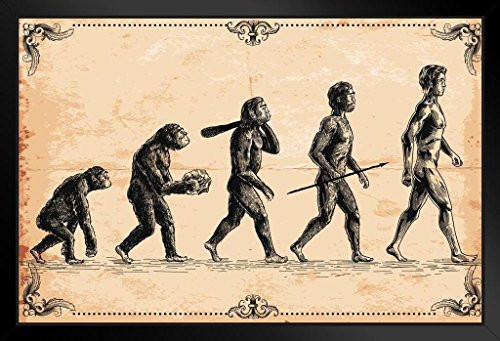 Human Evolution Concept Vintage Illustration Black Wood Framed Art Poster 20x14
