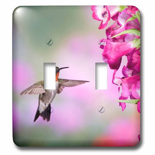 3dRose lsp_207098_2 Illinois, USA Ruby throated Hummingbird Double Toggle Switch