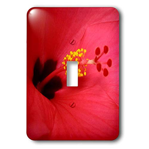 3dRose lsp_16873_1 Inside the Pink Hibiscus 3 Toggle Switch