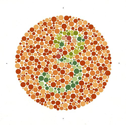 Posterazzi SCIJA0022 Ishihara Color Blindness Test Poster Print by Science Source, 18 x 18, Varies