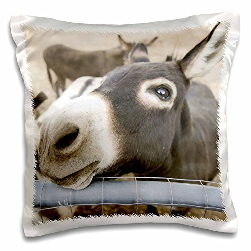 3D Rose Miniature Donkeys on a Ranch in Northern California USA Pillow Case, 16" x 16"