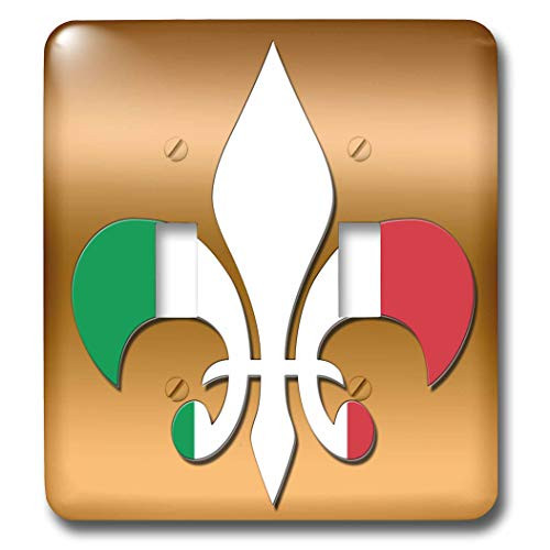 3dRose lsp_30762_2 Large Green Fluer de Lis Background Italian Toggle Switch, Red Gold Flag White