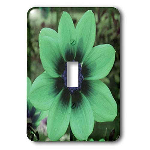 3dRose lsp_5998_1 Light Green Cosmos Flower Single Toggle Switch, Multicolor