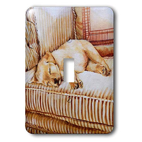3dRose lsp_44570_1 Little Yellow Lab Puppy Sleeping in The Sun on A Golden Striped Couch Single Toggle Switch