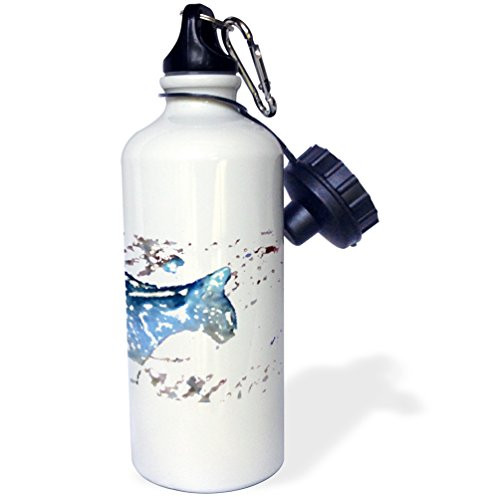 3dRose Serval cat Watercolor Blue-Sports Water Bottle, 21oz (wb_178578_1), 21 oz, Multicolor