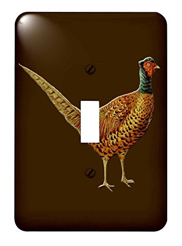 3dRose lsp_170639_1 Male Pheasant On A Warm Brown Background Toggle switch