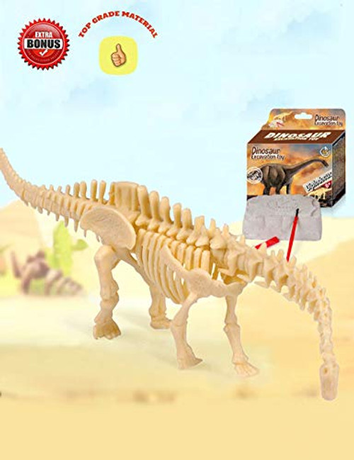 AKINGSHOP Dinosaur Excavation Kits for Kids,Dino Dig Kits,Dinosaur Fossil Excavation Kits for Kids,Children's Popular Science Education Toys - Dinosaur DIY Toys (Diplodocus)