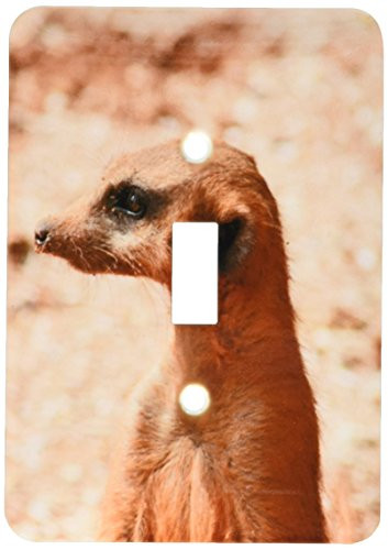 3dRose lsp_215999_1"Meerkat Head Close Up Single Toggle Switch