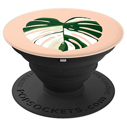 Tropical green plant monstera deliciosa variegata leaf PopSockets Grip and Stand for Phones and Tablets