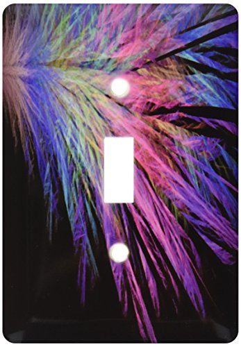 3dRose Lsp_20693_1 Multi Colored Feathers On Black Single Toggle Switch