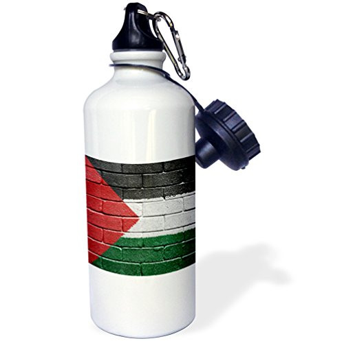 3dRose wb_156963_1 National Flag of Palestine Painted Onto a Brick Wall Palestinian Sports Water Bottle, 21 oz, White