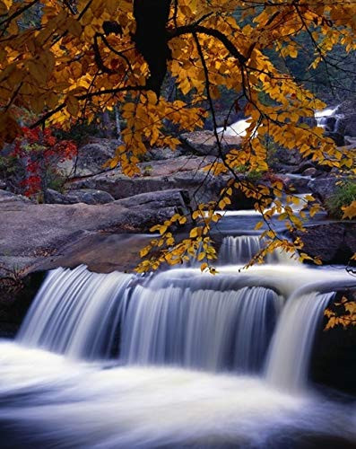 Nesowadnehunk Stream Rapids Autumn Colors Baxter State Park Poster Print (13 x 17)